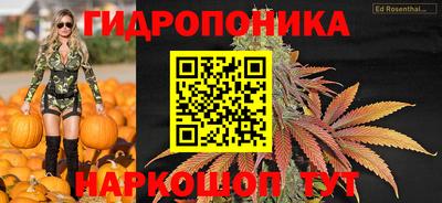 амф Краснознаменск